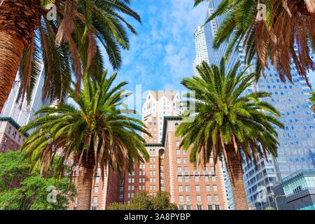 Los Angeles, Kalifornien - 3. Dezember 2024: Weitwinkelblick auf den Pershing Square in Los Angeles mit Palmen und Wolkenkratzern unter einem klaren blau Stockfoto