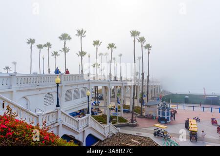 Oceanside, Kalifornien - 3. Januar 2025: Weitwinkelblick auf den Oceanside Municipal Pier mit Palmen und einer nebeligen Atmosphäre, die während der Tour erfasst wird Stockfoto