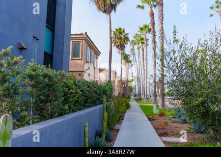 Oceanside, Kalifornien - 3. Januar 2025: Weitwinkelansicht eines mit Palmen gesäumten Betonweges und Wohnhäusern in Oceanside, California Stockfoto