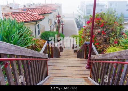 Oceanside, Kalifornien - 3. Januar 2025: Weitwinkelblick auf eine Holztreppe, die durch üppiges Grün zum Strand Beach in Oceanside, Kalifornien führt Stockfoto