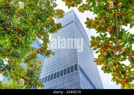 Los Angeles, Kalifornien - 4. Dezember 2024: Nahaufnahme der City National Plaza in Los Angeles, eingerahmt von lebhaften Ästen und Blättern, mit Mod Stockfoto