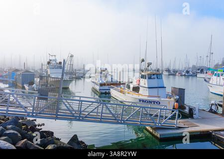 Oceanside, Kalifornien - 3. Januar 2025: Ruhige Szene des Oceanside Harbor in Kalifornien, mit Fischerbooten, die anmutig unter einem Nebel angedockt werden Stockfoto