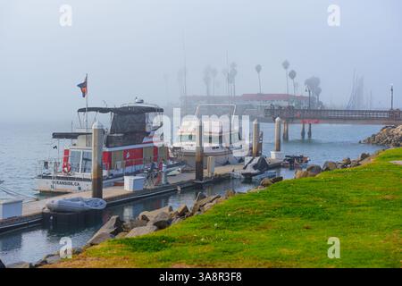 Oceanside, Kalifornien - 3. Januar 2025: Ruhiger Blick auf Oceanside Harbor, Kalifornien, mit Booten, die bei nebeligem Wetter mit Palmen in der angedockt sind Stockfoto