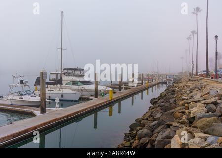Oceanside, Kalifornien - 3. Januar 2025: Ruhiger Blick auf den Oceanside Harbor in Kalifornien, mit angelegten Booten, nebelhaltigen Bedingungen und Palmen entlang Stockfoto