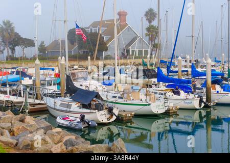 Oceanside, Kalifornien - 3. Januar 2025: Beschauliche Yachthafenszene mit zahlreichen Booten, die in ruhigem Wasser unter einem nebeligen Himmel mit Palmen und Palmen vertäut sind Stockfoto