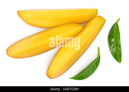 Mangoblätter isoliert auf weißem Hintergrund mit voller Schärfentiefe. Draufsicht. Flache Lagen Stockfoto