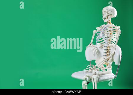 Künstliches menschliches Skelettmodell, das auf Stuhl vor grünem Hintergrund sitzt, Raum für Text Stockfoto