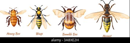 Hymenoptera-Insekten. Realistische Biene, Wespenhornet Hummel Top View biologische Infografik Banner, Honigbiene fliegende Tier Insekten Logo Symbol, Cartoon Set ordentliche Vektor Illustration Original Artwork Stock Vektor