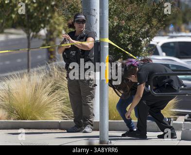 30. August 2017 - Sacramento, CA, USA - Studenten verlassen die El Camino Fundamental High School, nachdem sie am Mittwoch, 30. August 2017 in einem Notunterkunft untergebracht wurde, nachdem zwei California Highway Patrol Officers erschossen wurden und am Mittwoch, 30. August 2017 ein Abgeordneter des Sheriffs von Sacramento County in Sacramento, Kalifornien, getötet wurde (Kreditbild: © Paul Kitagaki Jr/TNS via ZUMA Wire) Stockfoto
