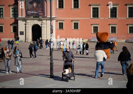 Warschau, Polen. März 2025. Am 28. März 2025 wird eine Frau mit einer Olde English Bulldogge in einem Buggy in Warschau, Polen, gesehen. (Foto: Jaap Arriens/SIPA USA) Credit: SIPA USA/Alamy Live News Stockfoto