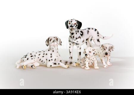 Vier weiße und schwarze Hunde stehen und liegen auf einer weißen Fläche. Die Hunde sind unterschiedlich groß und in einer Reihe angeordnet Stockfoto