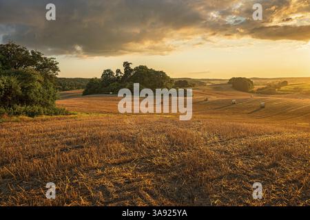 Typische hügelige Landschaft mit Wäldern im goldenen Abendlicht, Stoppelfeld mit runden Strohballen, Endmoränenlandschaft, Schorfheide-Chorin Stockfoto