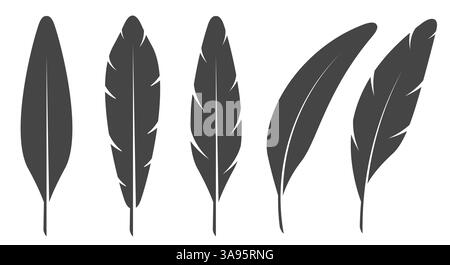 Ein Satz Vogelfedern in verschiedenen Formen, gerade und gebogen. Illustration des flachen Vektors isoliert auf weiß Stock Vektor