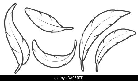 Ein Satz gekrümmter fliegender Vogelfedern. Zeilensymbole. Illustration des flachen Vektors isoliert auf weiß Stock Vektor