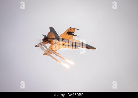 Die Royal Australian Air Force F/A-18 Super Hornet ist auf der kürzlich stattfindenden Avalon/Melbourne Airshow zu sehen Stockfoto