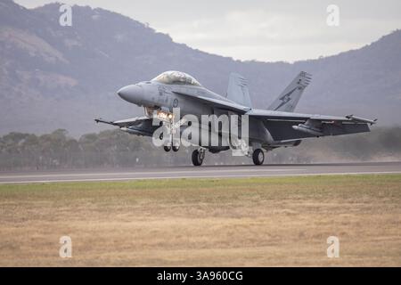Die Royal Australian Air Force F/A-18 Super Hornet ist auf der kürzlich stattfindenden Avalon/Melbourne Airshow zu sehen Stockfoto