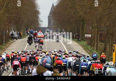 Wevelgem, Belgien. 30. März 2025. Die Gruppe von Fahrern, die während des eintägigen Radrennens „Gent-Wevelgem - in Flanders Fields“ in Aktion gezeigt wurden, 250,3 km von Ieper nach Wevelgem, Sonntag, den 30. März 2025. BELGA FOTO DAVID PINTENS Credit: Belga News Agency/Alamy Live News Stockfoto