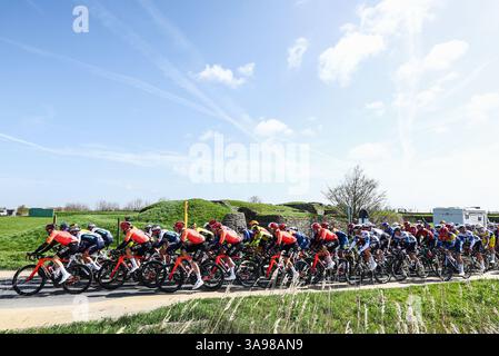 Wevelgem, Belgien. 30. März 2025. Das Peloton wurde während des eintägigen Radrennens „Gent-Wevelgem – in Flanders Fields“ in Aktion gezeigt, 250,3 km von Ieper nach Wevelgem, Sonntag, den 30. März 2025. BELGA FOTO DAVID PINTENS Credit: Belga News Agency/Alamy Live News Stockfoto