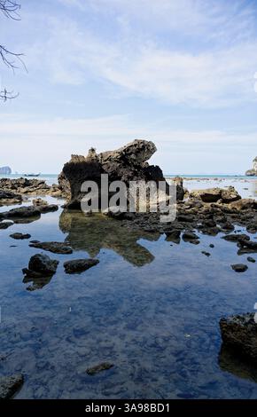 Zerklüftete Felsformationen spiegeln sich in den ruhigen Gezeitenbecken bei Ebbe zwischen Tonsai und Railay West wider Stockfoto