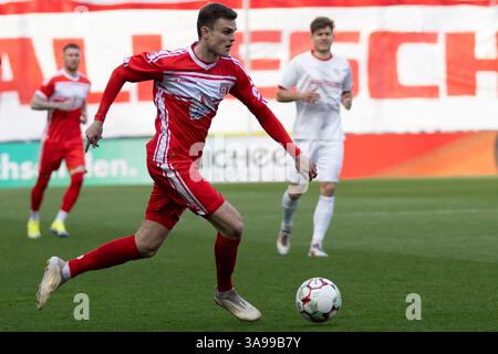 Halle, Deutschland. März 2025. Halle, Deutschland 29. März 2025: Regionalliga Nord/Ost - 2024/2025 - Hallescher FC vs. FSV Zwickau im Bild: Fabrice Hartmann (Halle) Credit: dpa/Alamy Live News Stockfoto