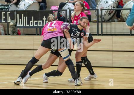 Halle, Deutschland. März 2025. Halle, Deutschland 29. März 2025: 2.HBL - Frauen - 2024/2025 - SV Union Halle-Neustadt vs. Kurpfalz Bären im Bild: v. li. im Zweikampf Ilona Kieffer (Halle), Lea Marmodee (Ketsch) und Viktoria Marksteiner (Halle) Credit: dpa/Alamy Live News Stockfoto