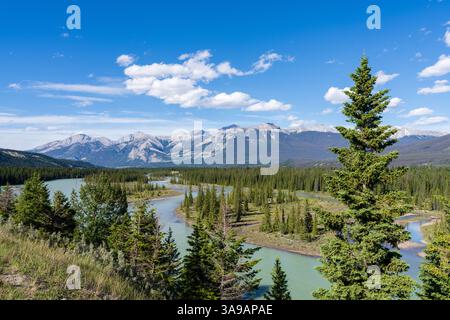Sommerlandschaft des Athabasca River mit Sandbänken und Wald in den Kanadischen Rocky Mountains. Jasper National Park, Alberta, Kanada Stockfoto