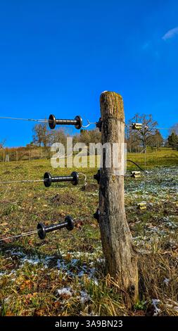 Ein Fragment eines elektrischen Drahtzauns zur Sicherheit der Tiere um die Weide. Stockfoto