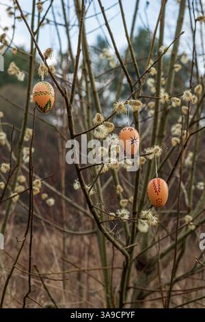Traditionelle gewachste Ostereier hängen an Weidenzweigen mit einem Wald im Hintergrund Stockfoto