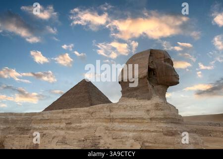 Ägypten - Kairo - große Sphinx von Gizeh Stockfoto