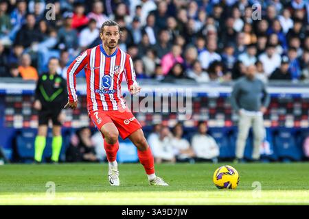 Barcelona, Spanien. März 2025. Antoine Griezmann (7) von Atletico Madrid, der während des LaLiga-Spiels zwischen Espanyol und Athletic Club im Stage Front Stadium in Barcelona zu sehen war. Stockfoto