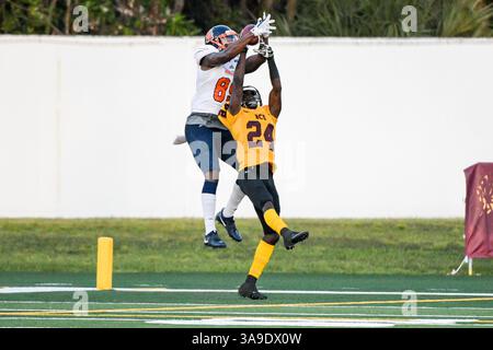 November 2017 - Daytona Beach, FL, USA S: Bethune Cookman Wildcats Cornerback Sam Marc (24) ist nicht in der Lage, einen Touchdown-Fang von Morgan State Bears Tight End Dushon David (89) während des NCAA Football-Spiels zwischen den Morgan State Bears und Bethune Cookman Wildcats im Municipal Stadium in Daytona Beach, FL, zu verteidigen. Romeo T Guzman/CSM. (Kreditbild: &Copy; Romeo Guzman/CSM via ZUMA Wire) Stockfoto