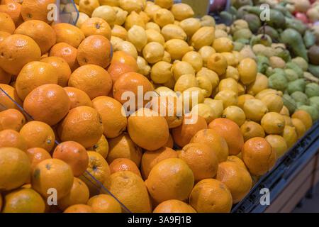 Riga, Lettland. August 30 Uhr 2023. Auswahl an frischem Obst im Supermarkt auf der Theke. Orangen, Zitronen Birnen, Äpfel auf dem Lebensmittelmarkt r Stockfoto