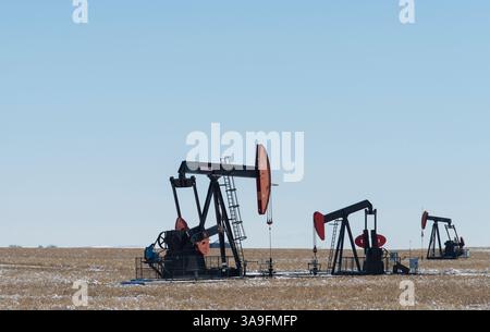 Pumpjacks an einem Ölbrunnen in der Nähe des Horsethief Canyon, Alberta, Kanada Stockfoto