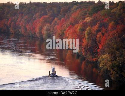 17. Oktober 2017 – Minneapolis, MN, USA – die Herbstfarben entlang des Mississippi River liegen in der Nähe des Gipfels, während ein kleines Schlepper am Dienstag, den 17. Oktober 2017 von der Franklin Avenue Bridge in Minneapolis aus gesehen wird. (Bild: © David Joles/TNS via ZUMA Wire) Stockfoto