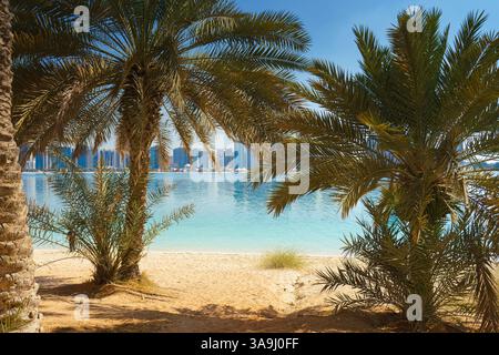 Abu Dhabi, Vereinigte Arabische Emirate, Panoramablick auf den Sandstrand mit Palmen, die Wolkenkratzer von Abu Dhabi sind im Hintergrund zu sehen, bei da Stockfoto