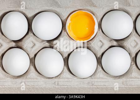 Aus nächster Nähe sehen Sie einen Eierkarton mit mehreren weißen Eiern, wobei einer offen ist und ein lebhaftes gelbes Eigelb zeigt. Stockfoto