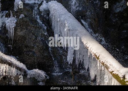 Nahansicht eines Zweiges, der an einer Klippe in einem kleinen Wasserfall hängt. Gefrorenes Wasser im Bach. Stockfoto