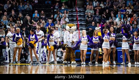 März 30 2025 Spokane WA U.S.A. LSU Cheerleader und Maskottchen auf dem Platz während des NCAA Women's Basketball Regional Elite Acht Spiels eins zwischen LSU Lady Tigers und den UCLA Bruins. UCLA besiegte LSU 72-65 in der Spokane Veterans Memorial Arena, Spokane, WA. Thurman James/CSM (Bild: © Thurman James/Cal Sport Media) Stockfoto