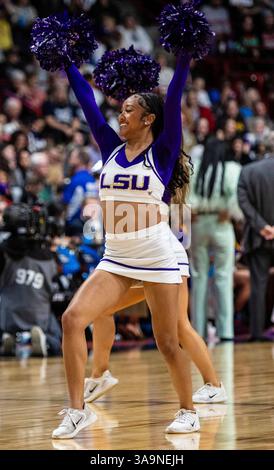 März 30 2025 Spokane WA U.S.A. LSU Cheerleader auf dem Platz während des NCAA Women's Basketball Regional Elite Acht Spiel eins zwischen LSU Lady Tigers und der UCLA Bruins. UCLA besiegte LSU 72-65 in der Spokane Veterans Memorial Arena, Spokane, WA. Thurman James/CSM (Bild: © Thurman James/Cal Sport Media) Stockfoto