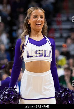 März 30 2025 Spokane WA U.S.A. LSU Cheerleader auf dem Platz während des NCAA Women's Basketball Regional Elite Acht Spiel eins zwischen LSU Lady Tigers und der UCLA Bruins. UCLA besiegte LSU 72-65 in der Spokane Veterans Memorial Arena, Spokane, WA. Thurman James/CSM (Bild: © Thurman James/Cal Sport Media) Stockfoto