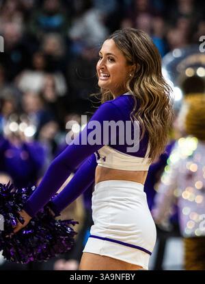 März 30 2025 Spokane WA U.S.A. LSU Cheerleader auf dem Platz während des NCAA Women's Basketball Regional Elite Acht Spiel eins zwischen LSU Lady Tigers und der UCLA Bruins. UCLA besiegte LSU 72-65 in der Spokane Veterans Memorial Arena, Spokane, WA. Thurman James/CSM (Bild: © Thurman James/Cal Sport Media) Stockfoto