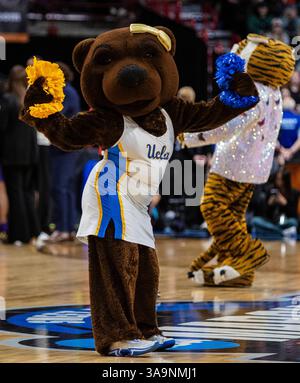 März 30 2025 Spokane WA U.S.A. UCLA Maskottchen auf dem Mittelfeld während des NCAA Women's Basketball Regional Elite Acht Spiel eins zwischen LSU Lady Tigers und den UCLA Bruins. UCLA besiegte LSU 72-65 in der Spokane Veterans Memorial Arena, Spokane, WA. Thurman James/CSM (Bild: © Thurman James/Cal Sport Media) Stockfoto