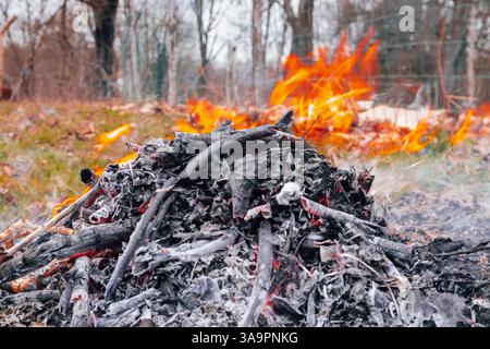 Verkohlte Zweige und Blätter, mit grauer Asche beschichtet, liegen im Vordergrund, während leuchtende orangefarbene Flammen springen und im Hintergrund schleudern. Stockfoto