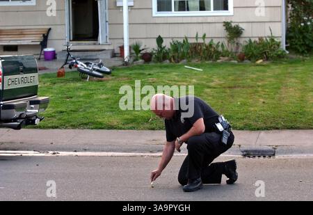 Sgt. Mike Finelli, ein Tatortdetektiv für das Sacramento County Sheriffs Department, bemerkt, dass eines von mehreren verschütteten Granathüllen aus Polizeiwaffen nach einer häuslichen Gewaltsituation, bei der ein Offizier erschossen wurde, lokalisiert wurde. Der Vorfall ereignete sich am 21. März 2004 in San Ardo 5741 in North Highlands. Ein Verdächtiger, Rick Huerta, wurde in Gewahrsam genommen, nachdem er sich nach der Schießerei und einer kurzen Entlassung den Offizieren ergeben hatte. Sacramento Bee/Jay Mather/ZUMA Press Stockfoto