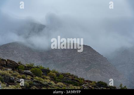 Swartberg Mountains in wilden und windigen bewölkten Bedingungen. In der Nähe von Klaarstroom und de Rust. Westkap. Südafrika Stockfoto