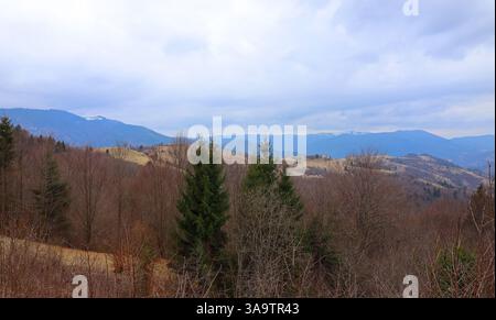 Synevir Pass am frühen Frühlingmorgen Stockfoto