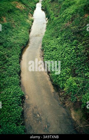 Üppig grüne Brennnessel wächst am Wasserbach, Blick aus einem hohen Winkel Stockfoto