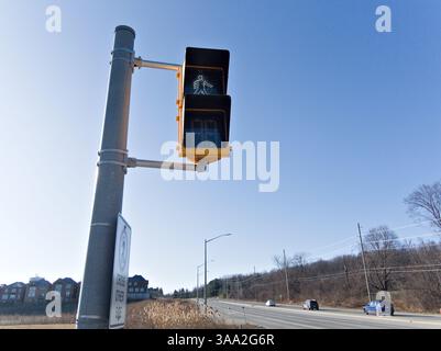 Das Bild zeigt ein Fußgängersignal, das an einem Metallmast montiert ist und ein „Gehen“-Symbol und einen Countdown-Timer anzeigt. Unterhalb des Signals, eine Anmeldung Stockfoto