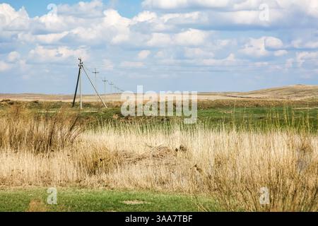 Ein Feld mit einem Pol in der Mitte. Der Stab ist von Gras umgeben. Der Himmel ist bewölkt Stockfoto