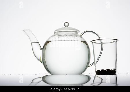 Teekanne aus Glas, gefüllt mit Wasser vor einem hellen Hintergrund, lockerer Tee im Teefilter an der Seite, Silhouette, minimalistisch Stockfoto